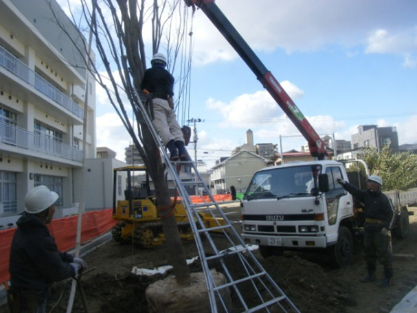 仙台市立通町小学校植歳工事