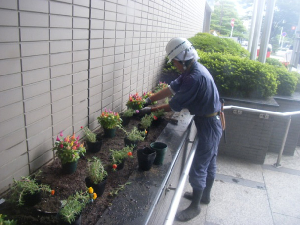 青業区役所庁舎花壇管理業務