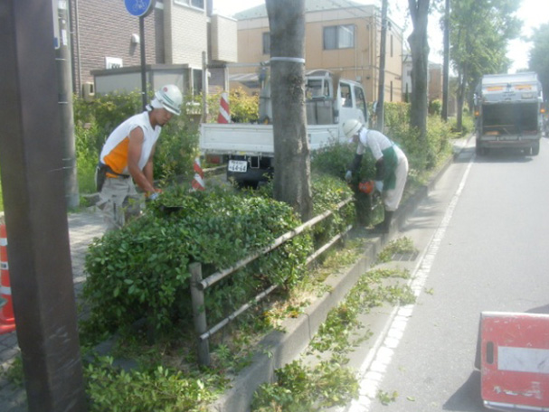 富谷町街路樹剪定等業務委託