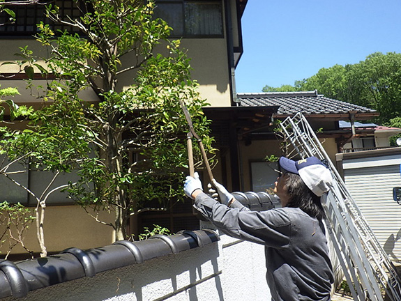 剪定・伐採・庭木の手入れ・草刈・芝刈・年間管理