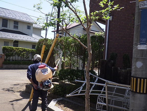 害虫駆除・防草剤散布・防虫剤散布・消毒